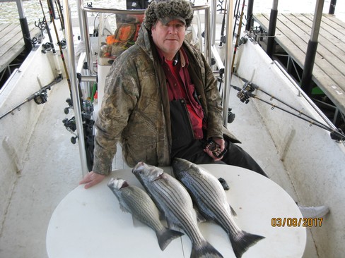 Nice Striped Bass